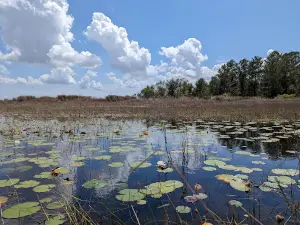 Delta Woods Park