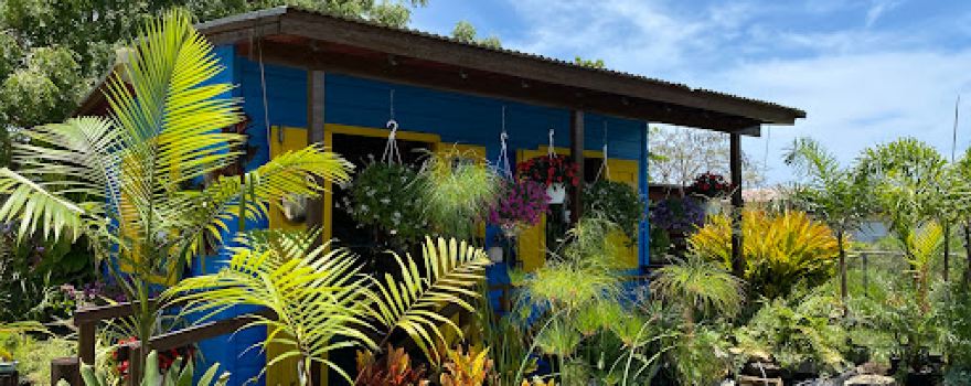 Mi Patio Del Oeste Garden
