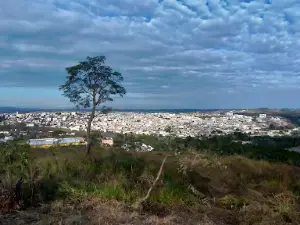 Forest Park Eurico Figueiredo