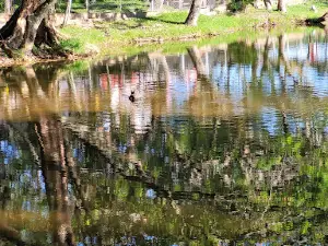 Humedal Laguna Altamira