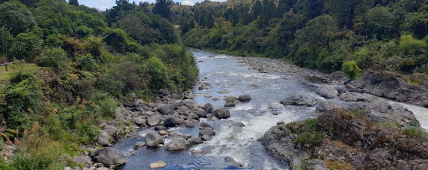 Whakapapa Scenic Reserve