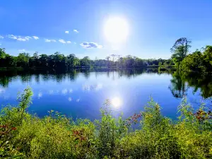 Big Thicket National Preserve
