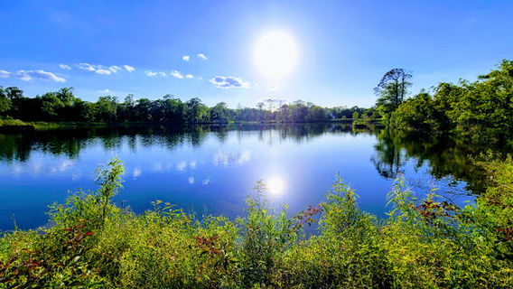 Big Thicket National Preserve