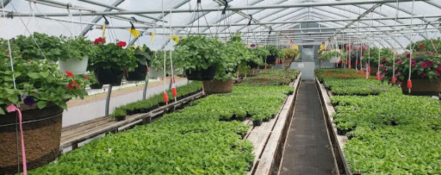 Beautiful Flowers Nursery & Garden Centre