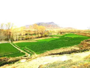 Mehlan nawi kala