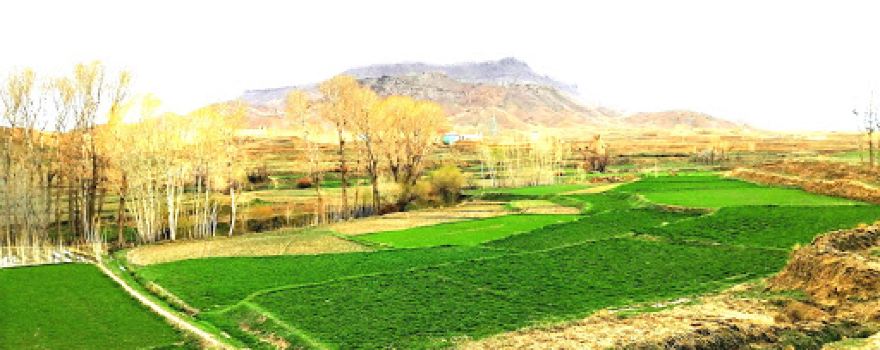 Mehlan nawi kala