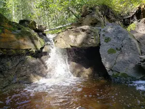 Old Baldy Trails