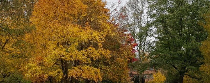 Schleid Park