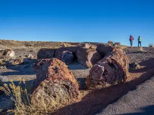 Painted Desert