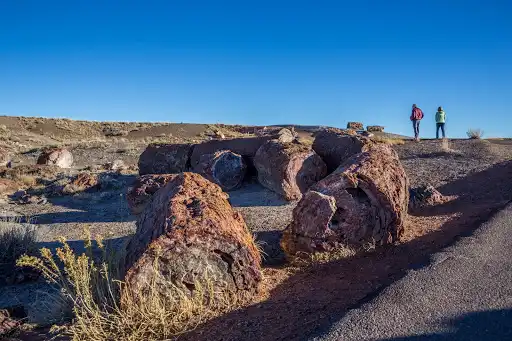 Painted Desert