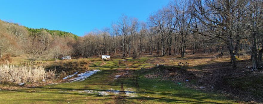 Büyük Creek