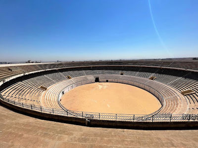 Oran Arena