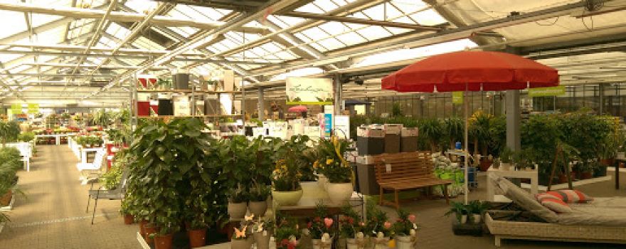 Blumen Risse Gartencenter Frechen
