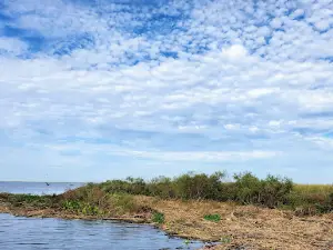 Okeechobee Airboat Rides