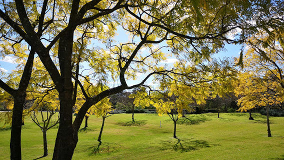 Doonside