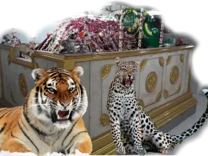 Sailani Baba Dargah