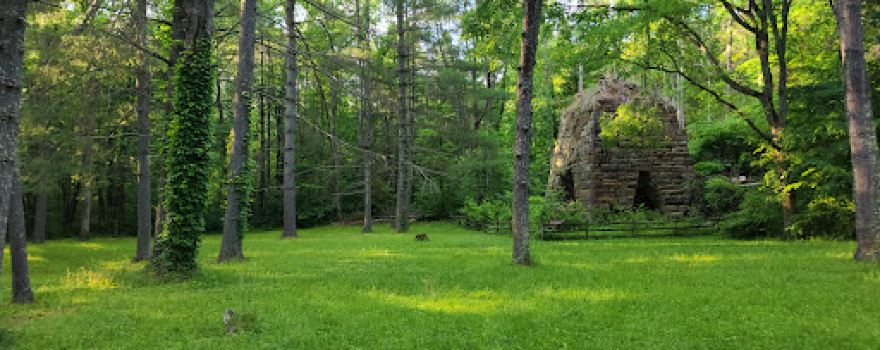 Clear Creek Picnic Area