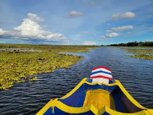 Thale Noi Bird Watching Park
