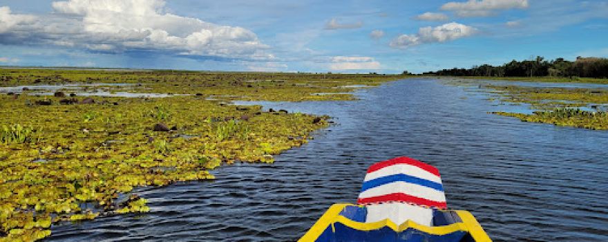 Thale Noi Bird Watching Park