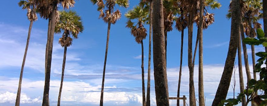 Lasiana Beach Recreation Park