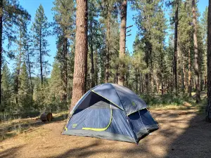 Grayback Gulch Campground