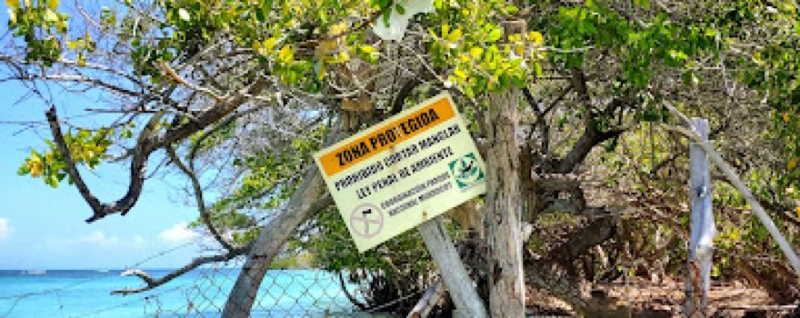 Playa Punta Brava