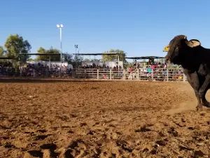Fitzroy Valley Rodeo Ground