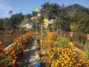 Tipsalumchung Park तिप्सालुम्चुङ पार्क (Alxe Dhunga-अल्छे ढुङ्गा)