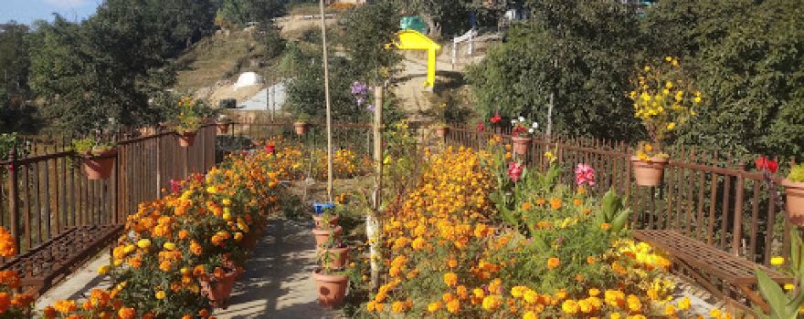 Tipsalumchung Park तिप्सालुम्चुङ पार्क (Alxe Dhunga-अल्छे ढुङ्गा)