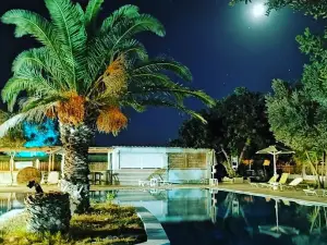 Camping Agia Galini