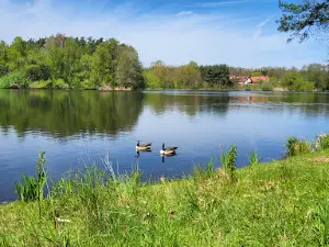 Stauwurzel des Rothsees