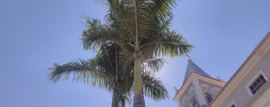 Igreja matriz Imaculada Conceicao