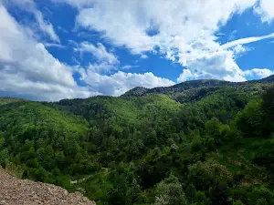 Jelovarnik