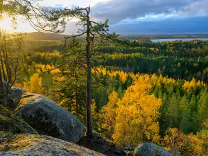 Hyyppäänvuori
