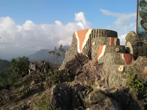 Rock Garden