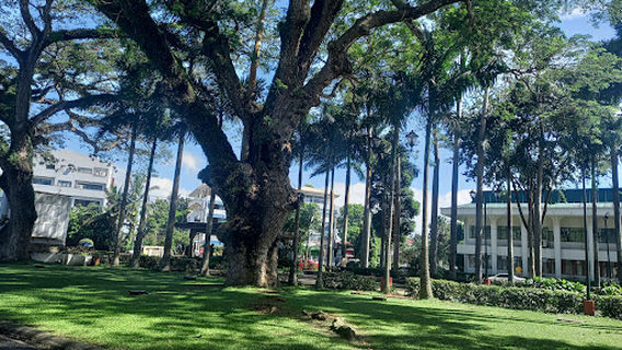 Carabao Park