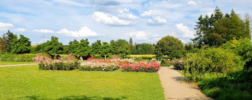 Rosarium