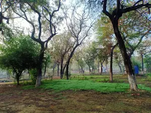 Nature Park