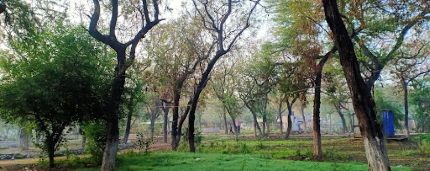 Nature Park