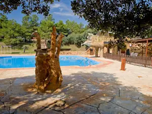 Camping los Carasoles