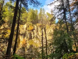 Granite Falls Fish Ladder