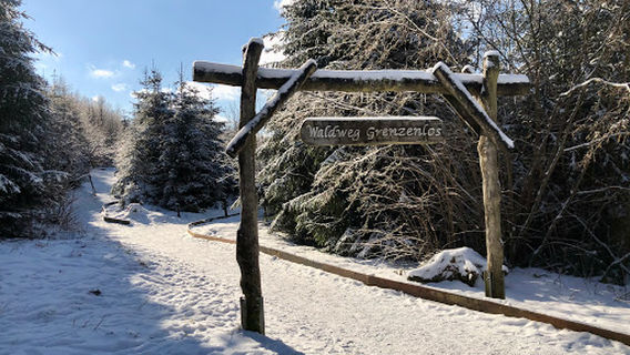 Waldweg Grenzenlos