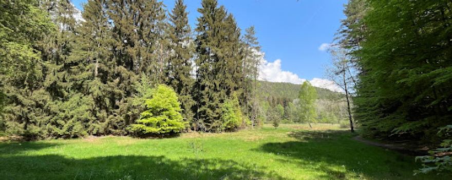 Napoleonsteig