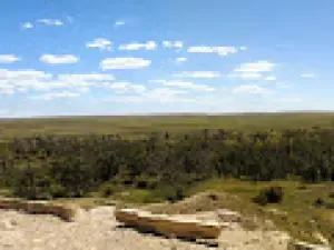 Cimarron National Grassland