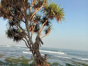 Pantai Karang Papak