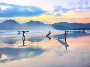 Aqia Surf