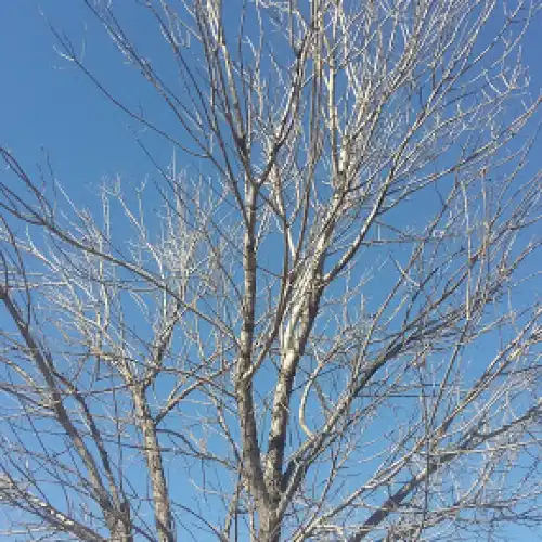 UCO Park