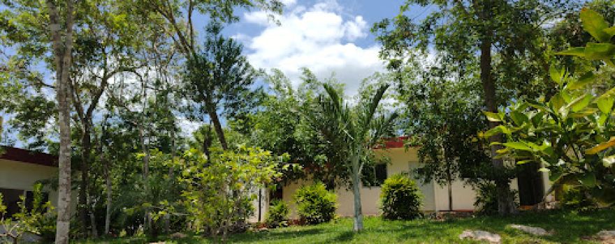 Hostal y Camping El Edén