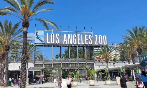 Los Angeles Zoo