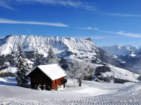 Sportbahnen Marbachegg AG
